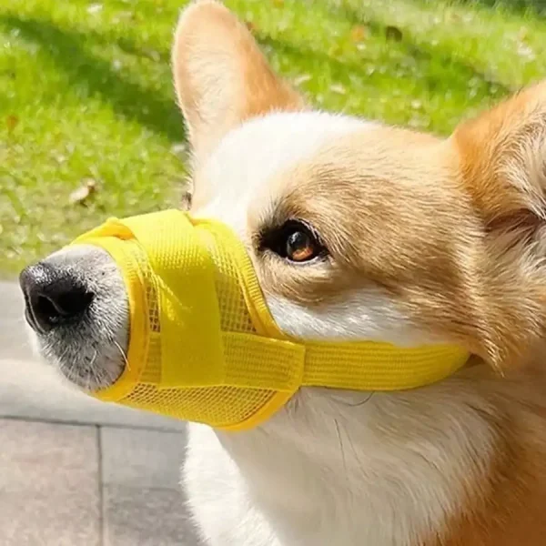 Adjustable Dog Muzzle,