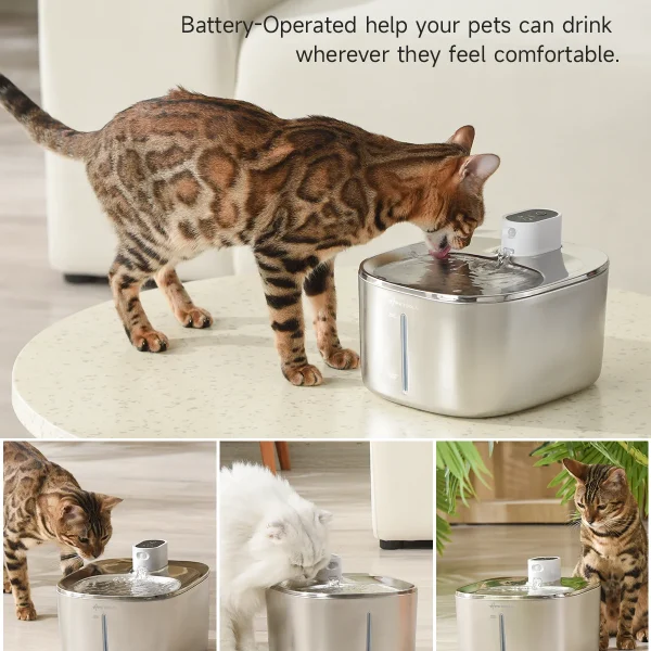 APETDOLA 4L Wireless Pet Water Dispenser Accessories